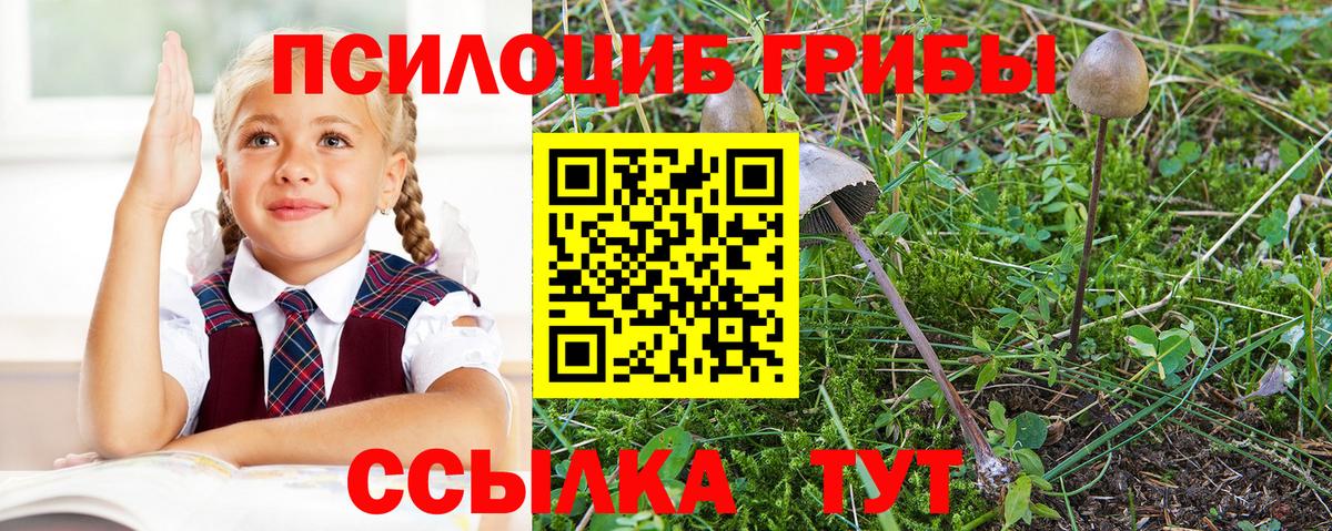 Галлюциногенные грибы Magic Shrooms  Псилоцибиновые грибы GOLDEN TEACHER  Вход с VPN  Строитель 